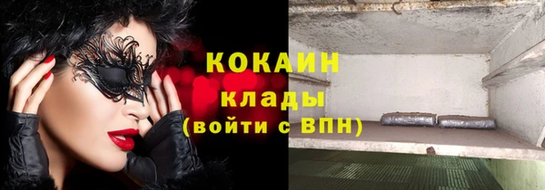 шишки Абинск