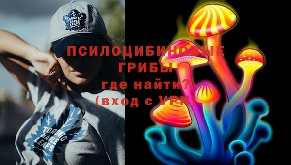 индика Абдулино