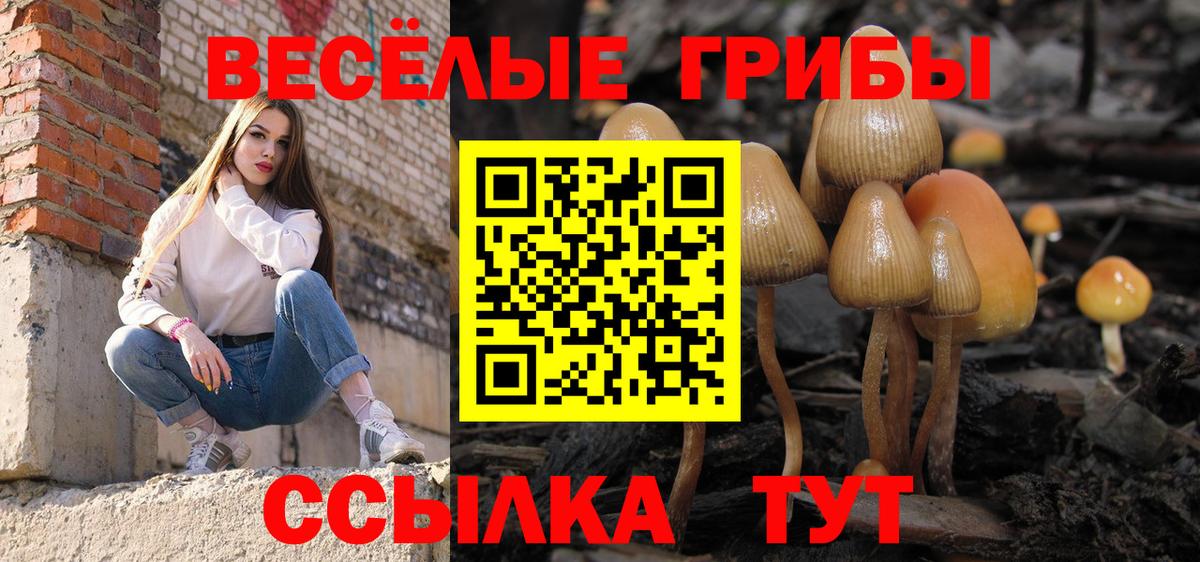 Галлюциногенные грибы Cubensis  Вход с VPN  Орск 